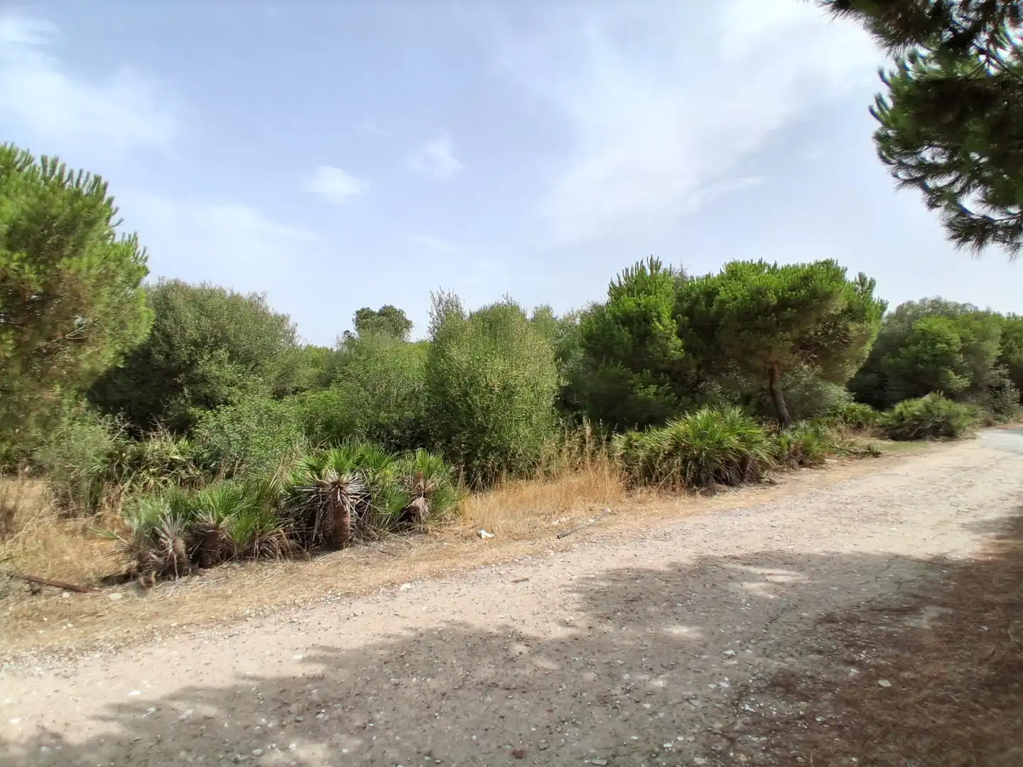 Residential land for sale in Pinar de la villa, imagen 12