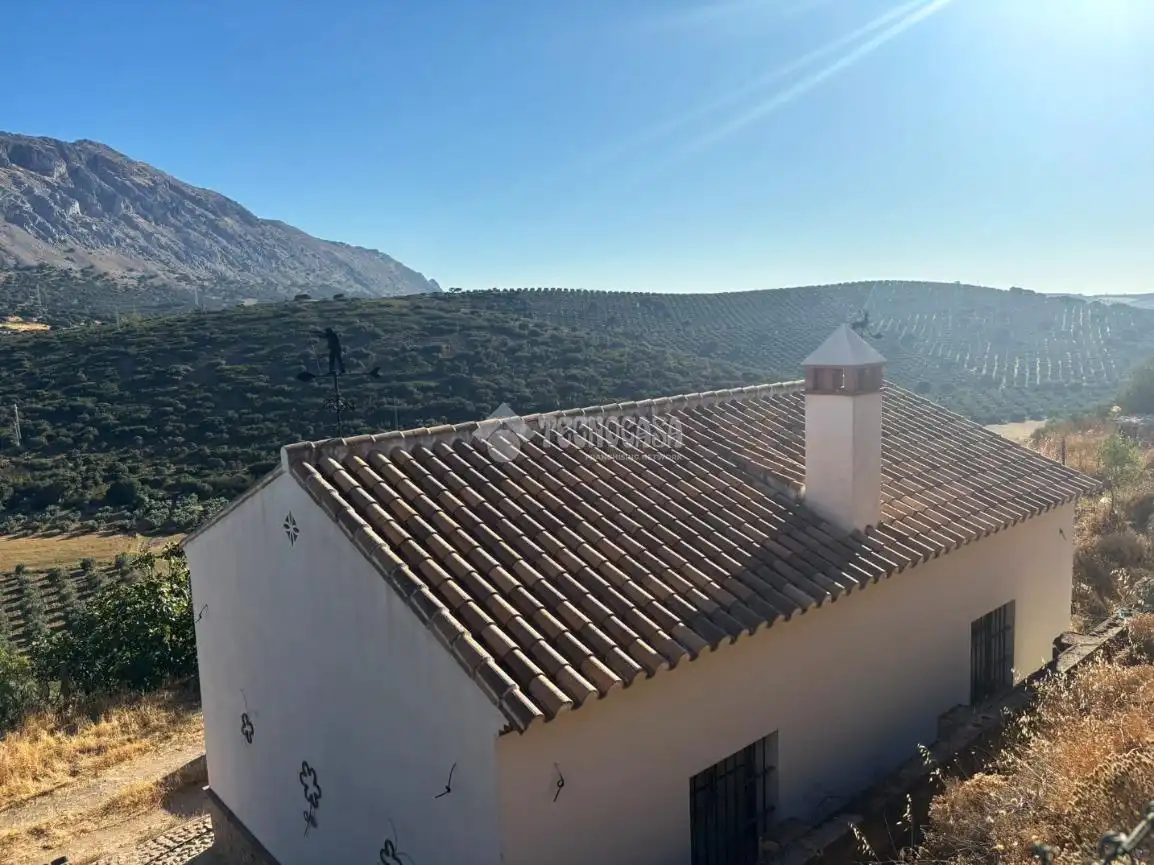 Vista exterior de Finca rústica en venta en Valle de Abdalajís