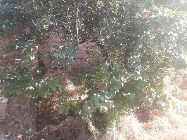 Casa amb jardí en venda a Villanueva del Rey, imagen 19