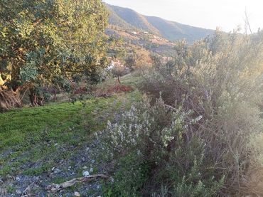 Rural land for sale in Los Tablones - La Garnatilla