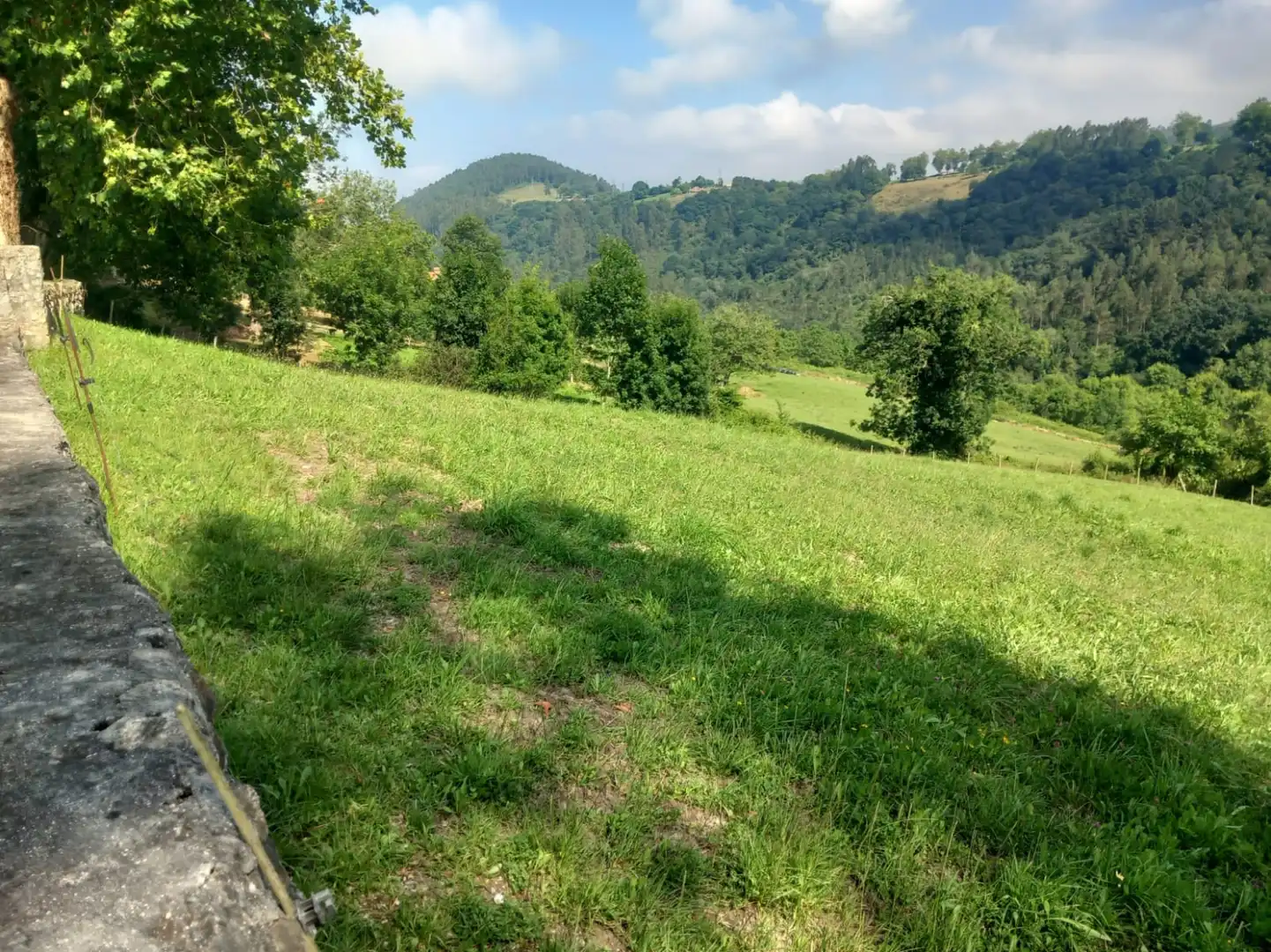 Terreni e lotti in vendita a Labarces - La Cardosa 21, imagen 12