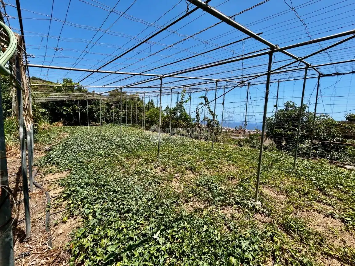 Casa o chalet en venta en Güímar con Aire acondicionado, Jardín privado y Terraza