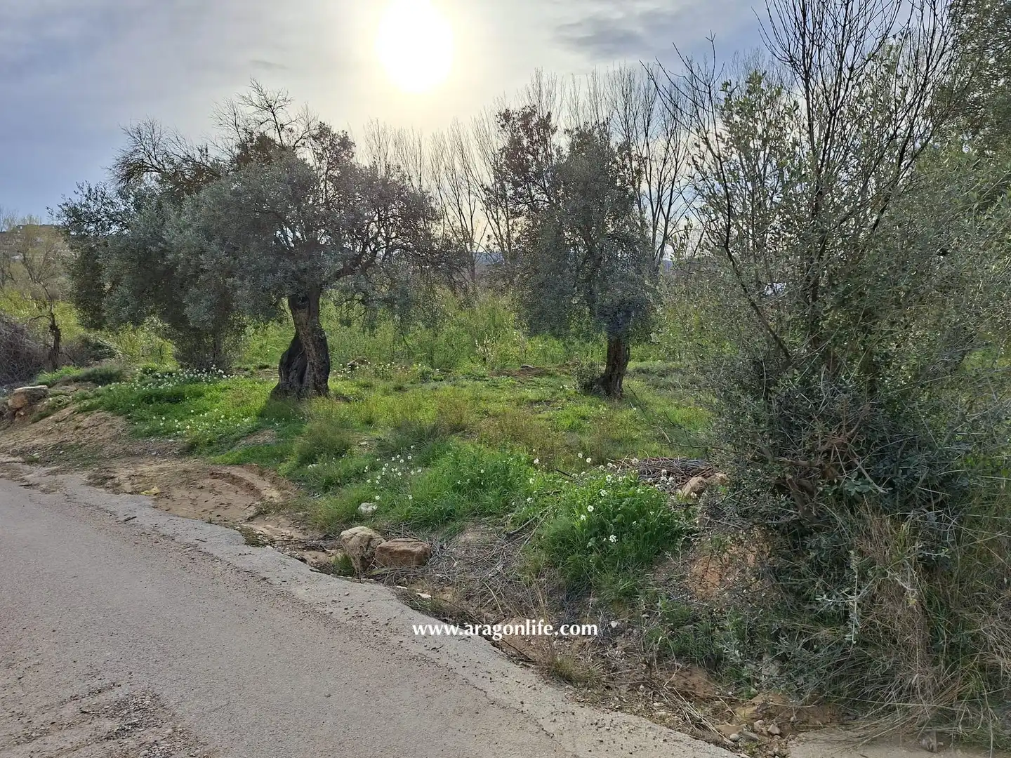 Terreni e lotti in vendita a Edificio Diseminados