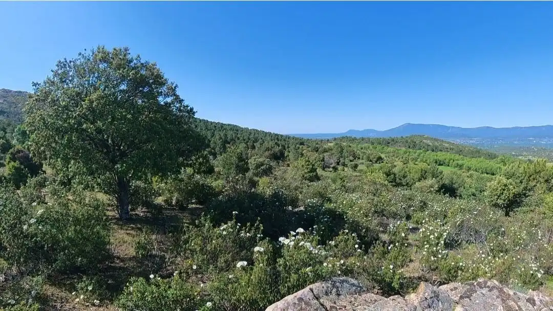 Rural land for sale in Polígono Polígono I, imagen 10