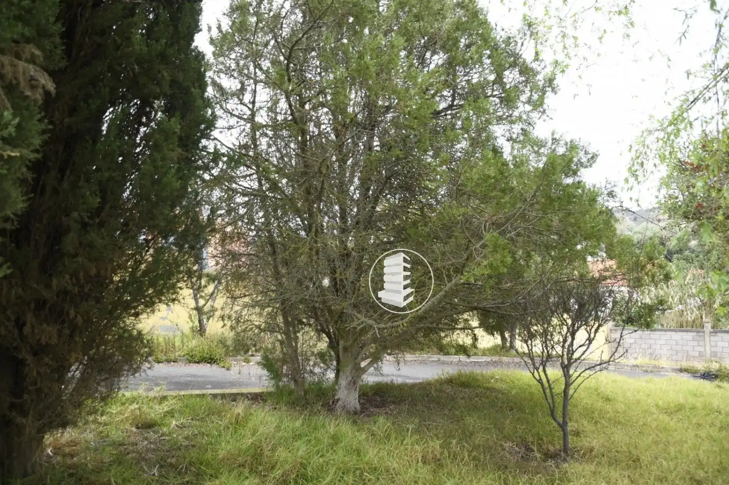 Terrenys i solars en venda a Vega Lagunera, imagen 6