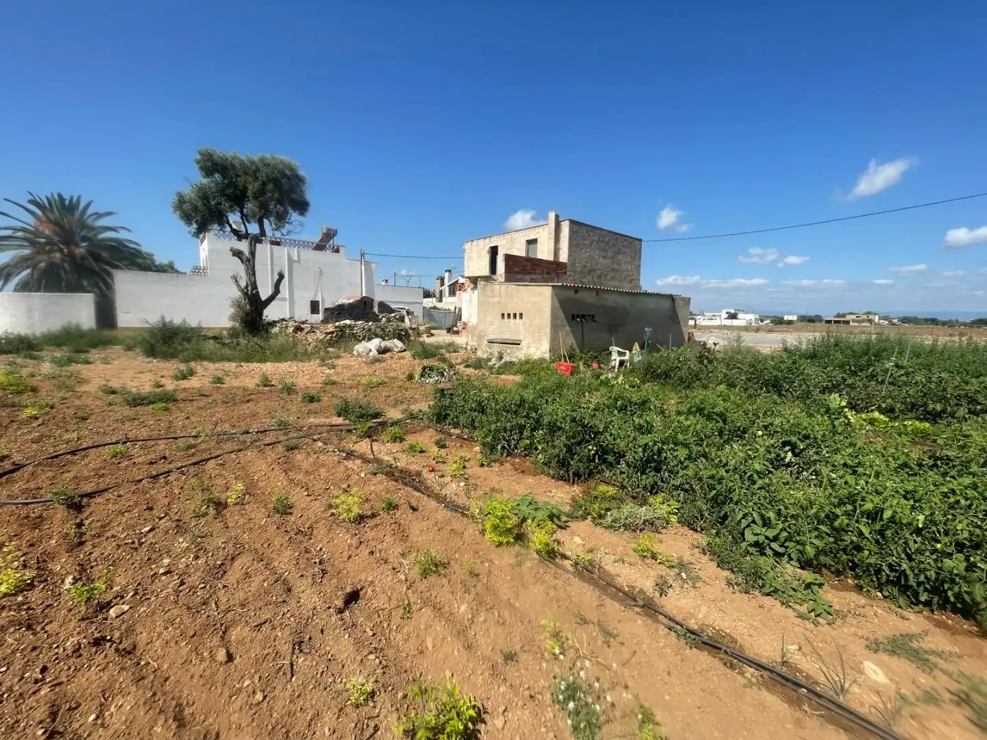 Detached house with garden for sale in CALLE BARBIGUERA 18