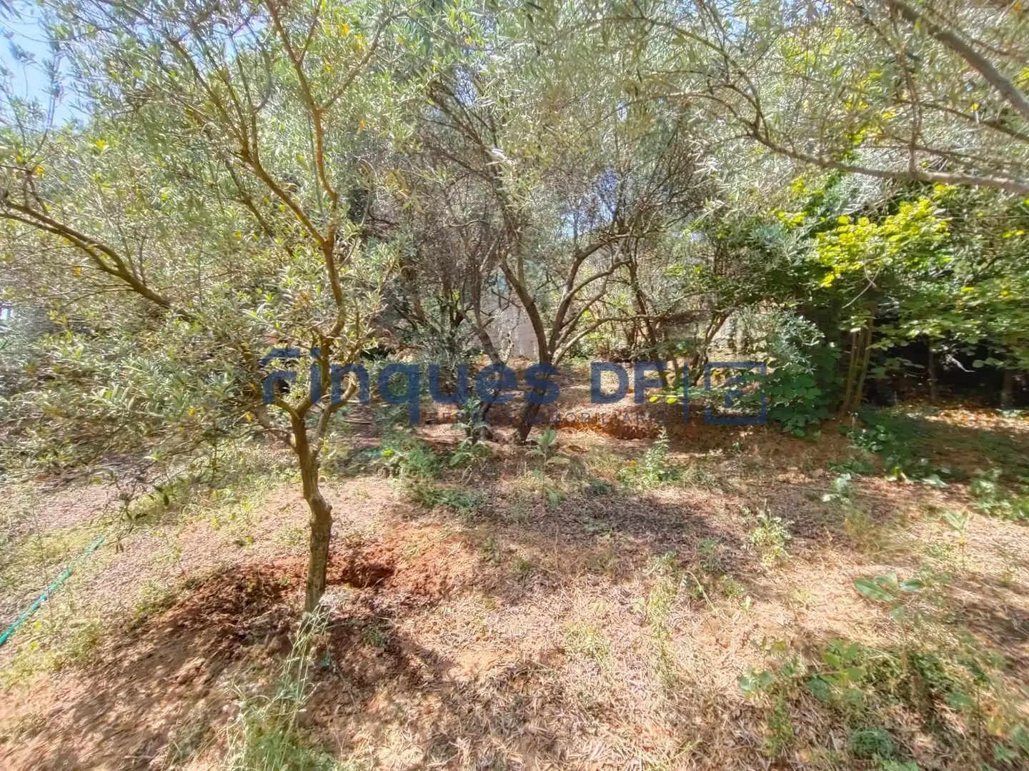 Terrenos y solares en venta en Riudarenes, imagen 7