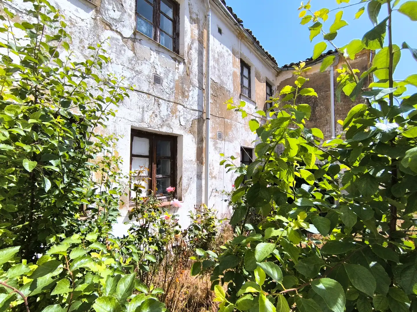 Vista exterior de Casa o xalet en venda en Meneses de Campos amb Jardí privat i Traster
