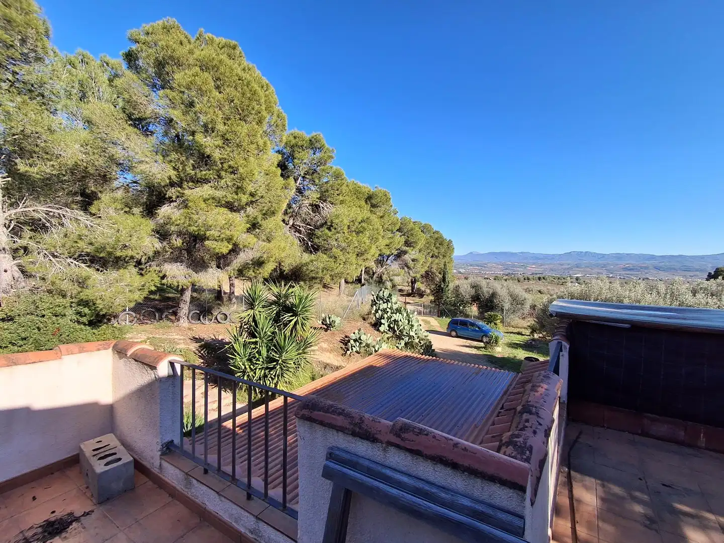 Jardí de Finca rústica en venda en Móra d'Ebre