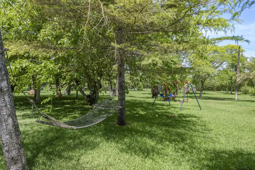 Casa rústica amb piscina en venda a Binissalem, imagen 38