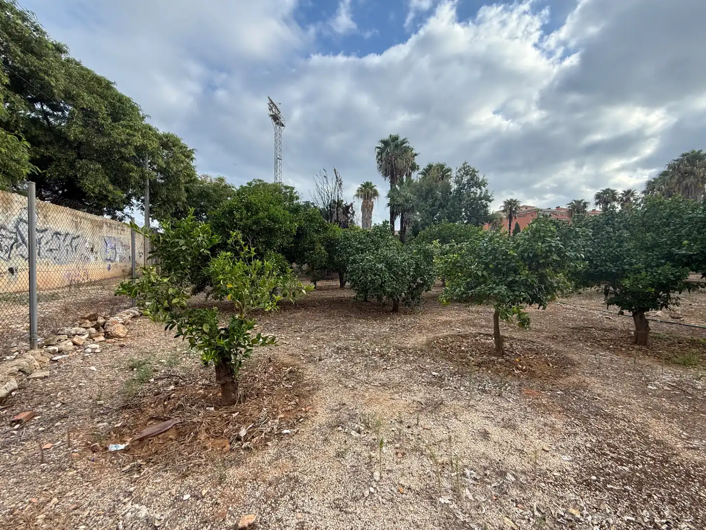 Terreno residenziale in vendita a Centro Urbano