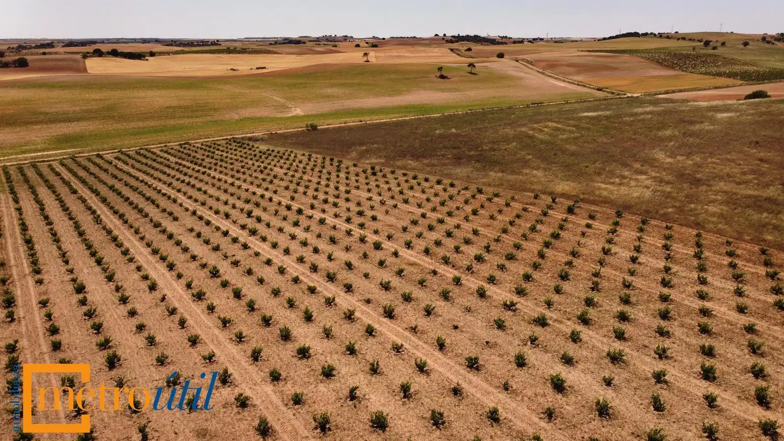 Land for sale in Toro