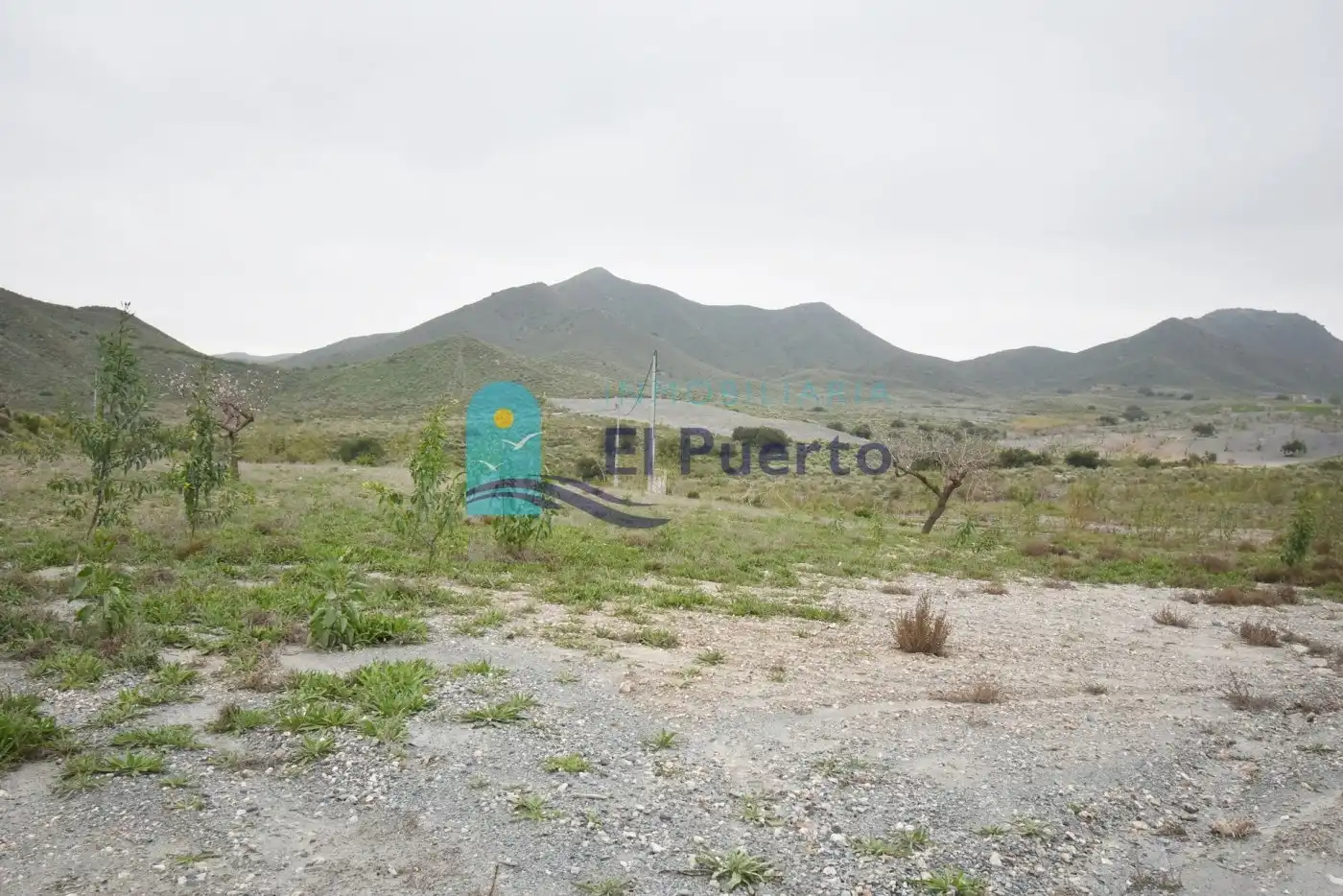 Terreno rústico en venta en Pedanías Oeste, imagen 6
