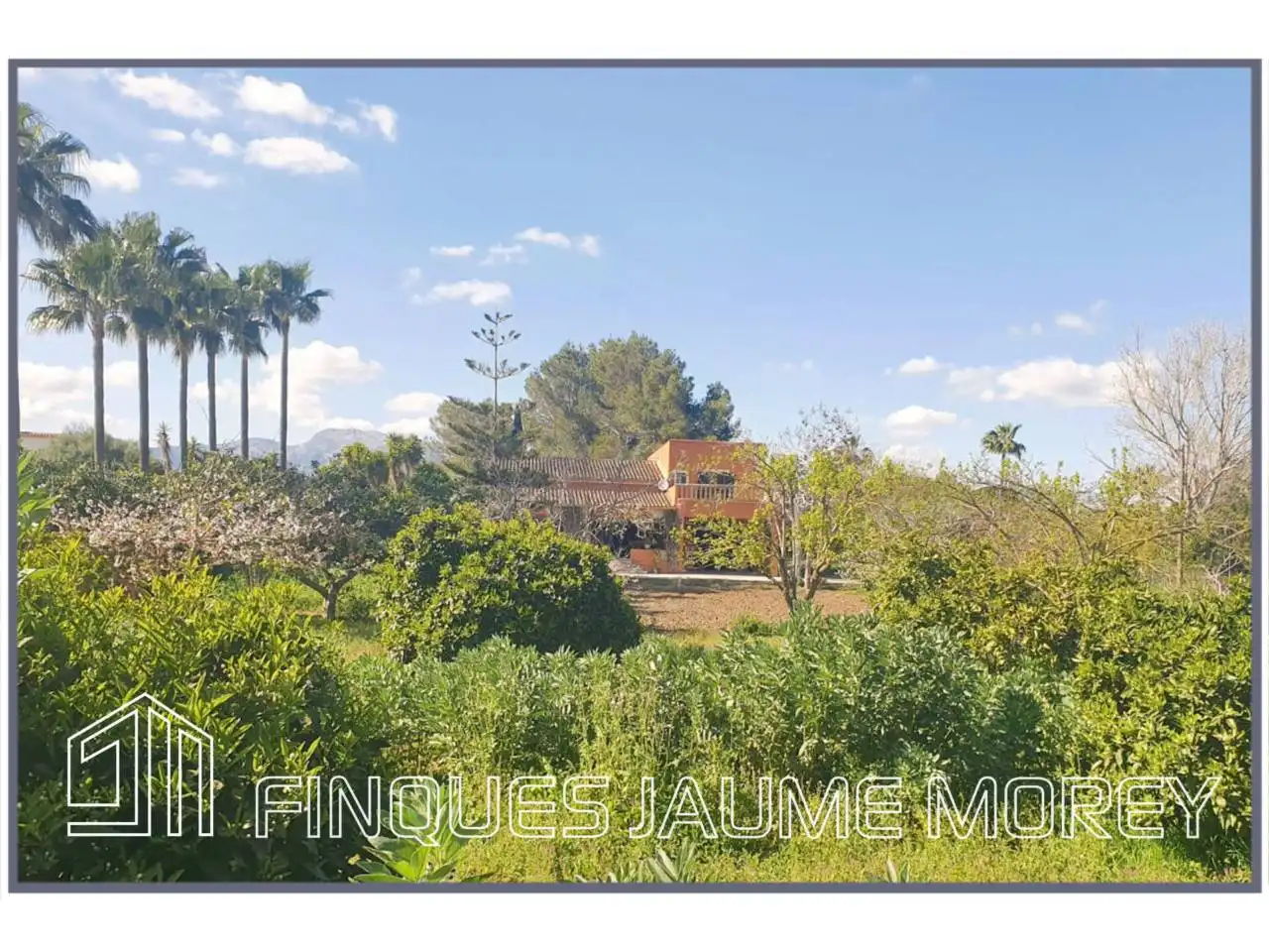 Casa rustica con giardino in vendita a Camino Ermita 1, imagen 10