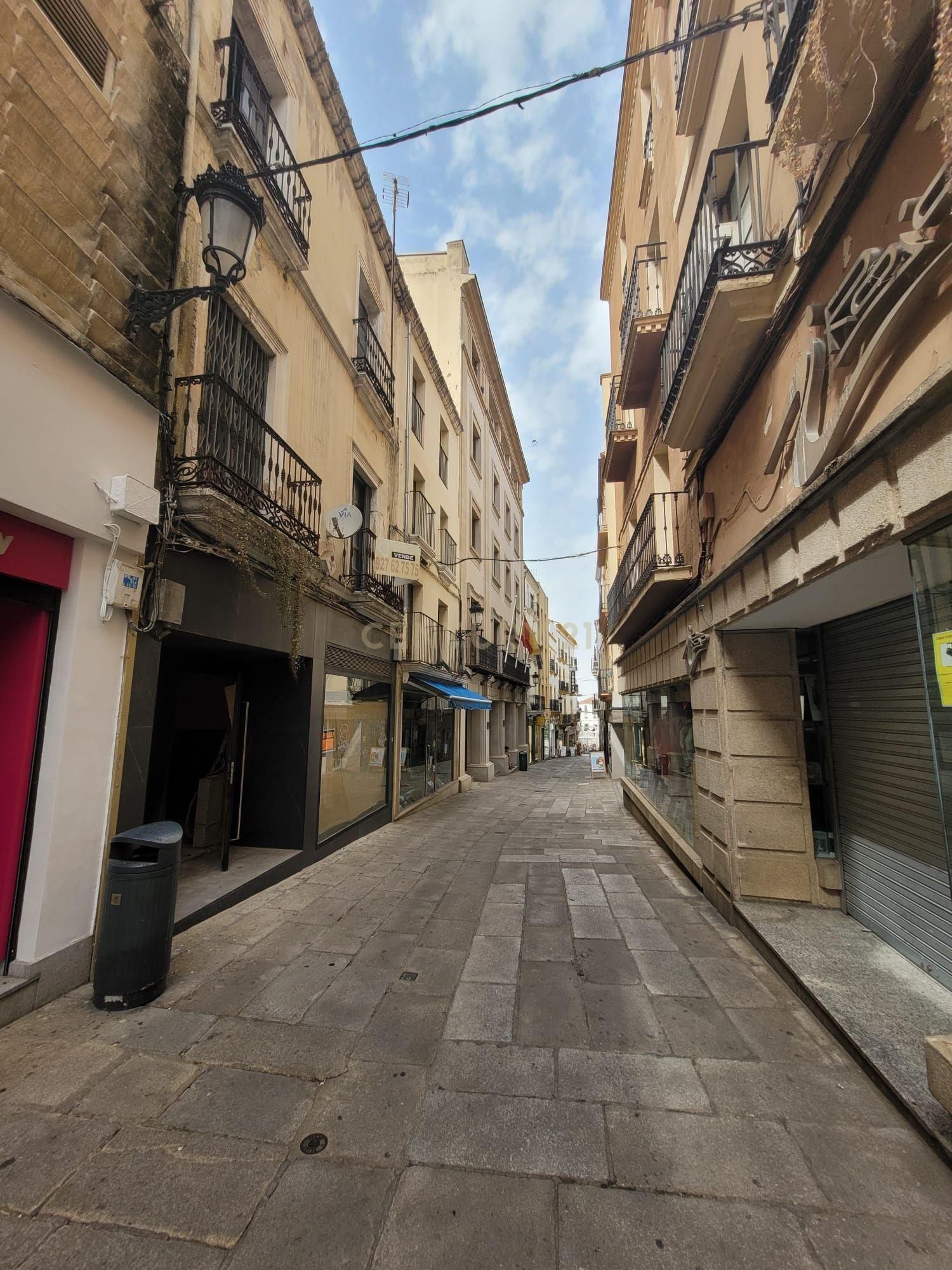 Premises to rent in Calle Pintores, 12, Casco Antiguo