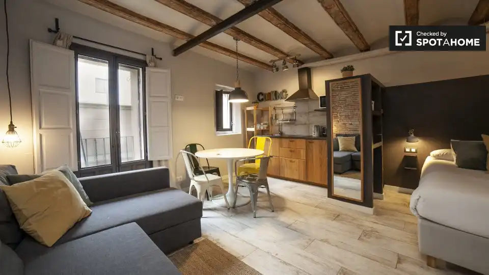 Appartamento con terrazza in affitto a Ciutat Vella