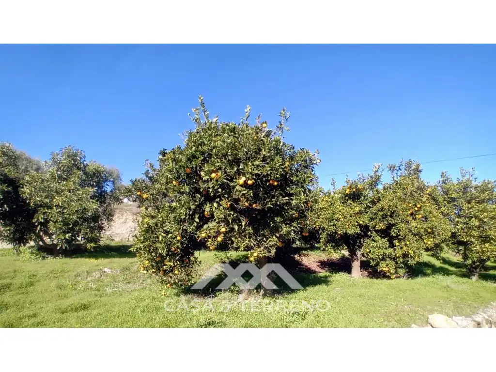 Casa o xalet en venda en Alozaina amb Piscina