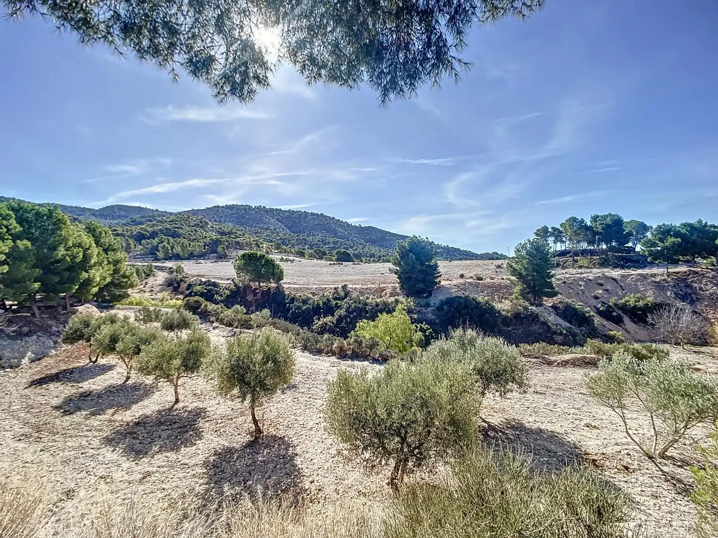 Finca rústica en venta en Tibi con Jardín privado, Terraza y Trastero