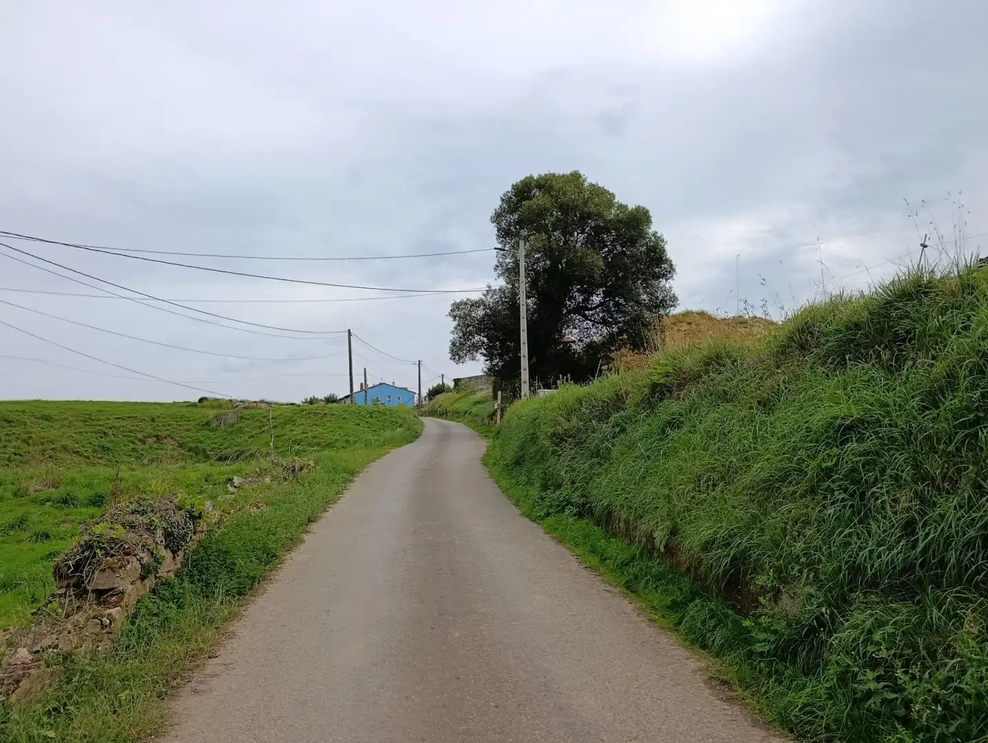 Rustikales Grundstück zum Verkauf in Carretera Piñera (Noriega) 0, imagen 75