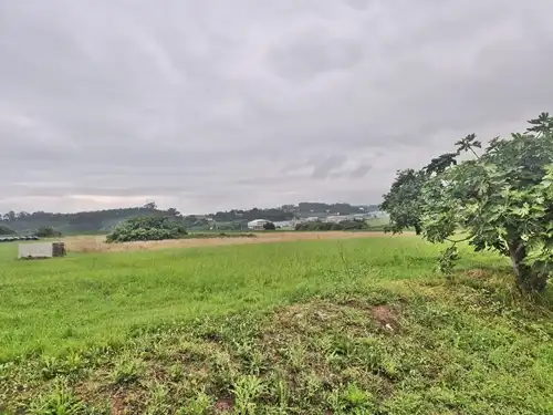 Terreno en venta en Marina de Cudeyo