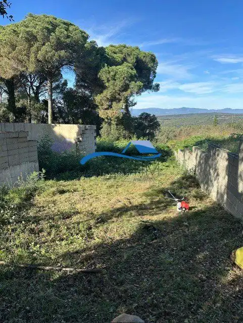 Terrenos y solares en venta en Sensitiva, imagen 15