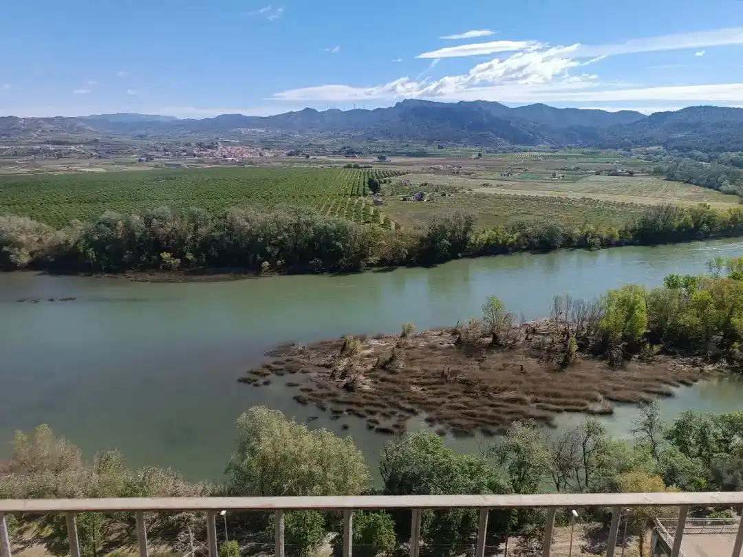 Casa o chalet en venta en Ascó con Balcón