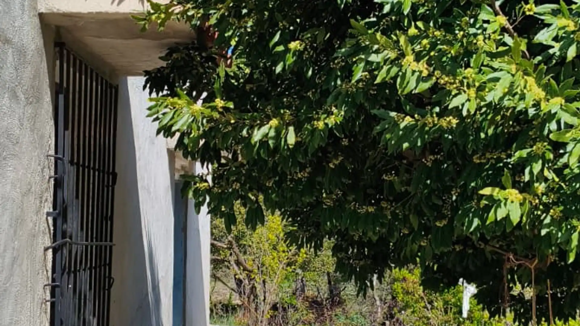 Casa o chalet en venta en DISEMINADOS, Benifallim