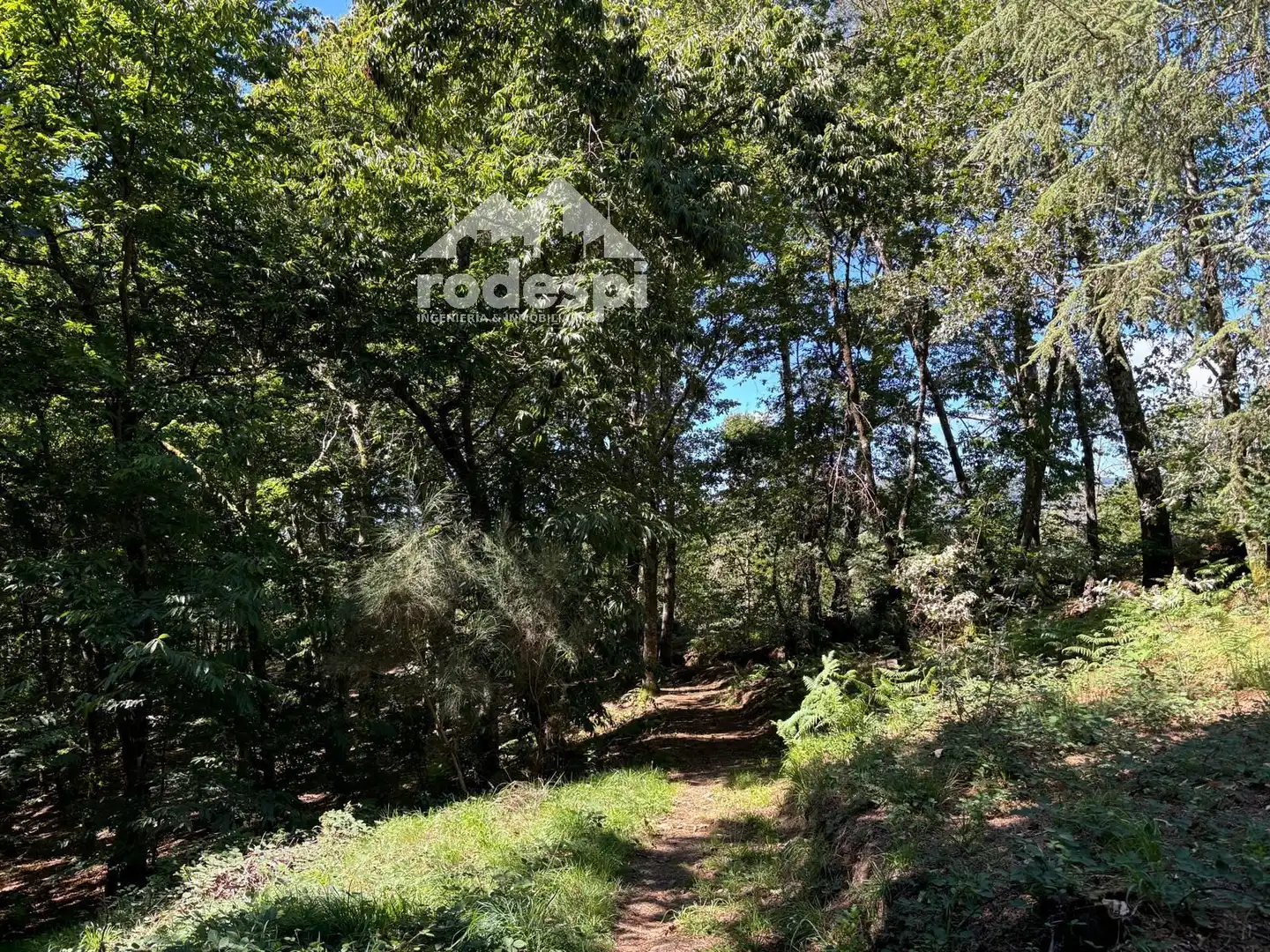 Terreny rústic en venda a A Cañiza, imagen 26