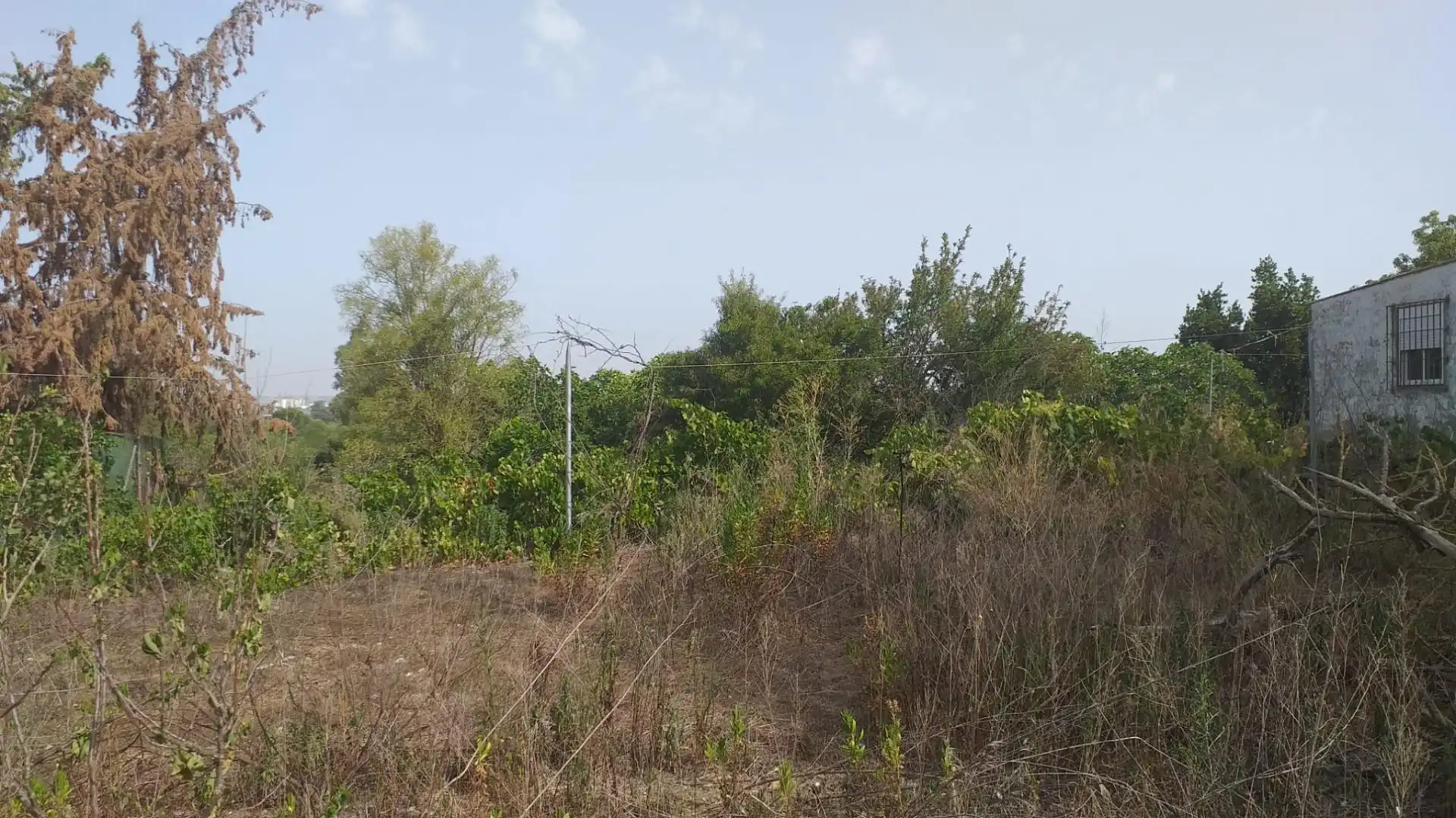 Rural land for sale in El Rocío - La Milagrosa, imagen 6