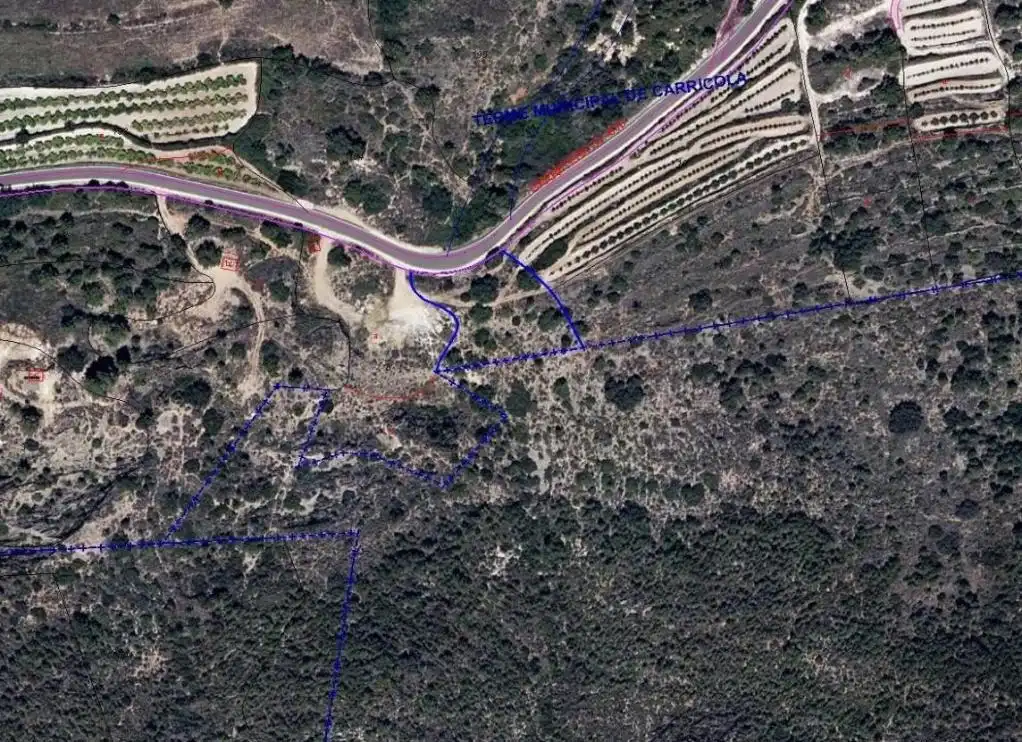 Terreno en venta en Carrícola