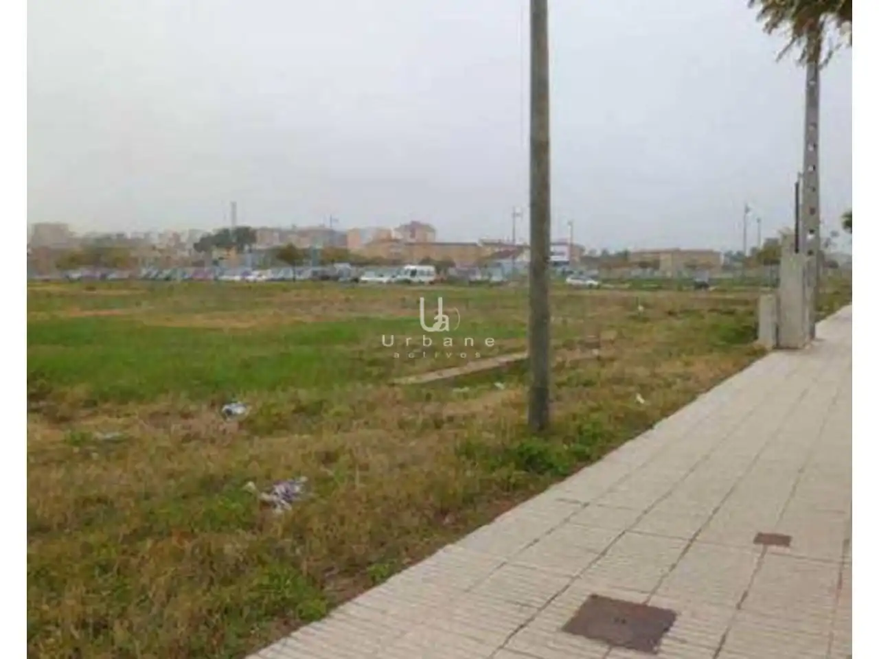 Terreny rústic en venda a Avenida adrian campos suñer, imagen 4
