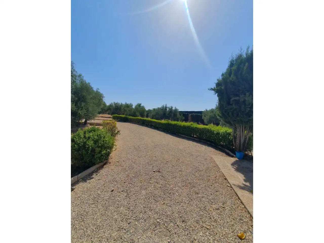 Xalet amb piscina en venda a Baeza, imagen 2