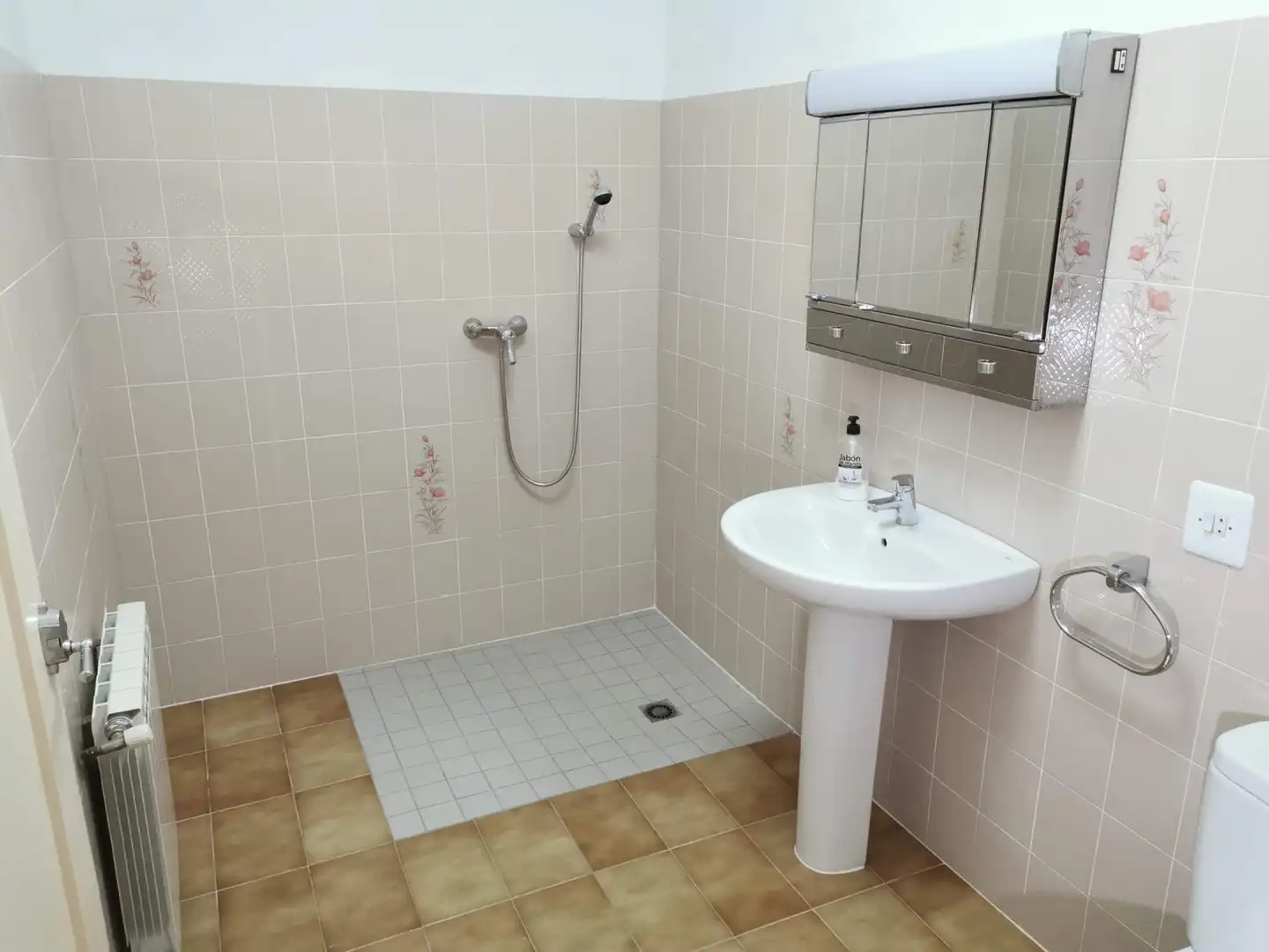 Bathroom of Detached homes for sale in Linyola