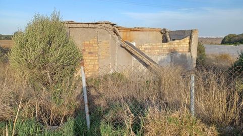Foto 4 de Terreno en venta en Camino Molino de Cafe, La Soledad, Chiclana de la Frontera