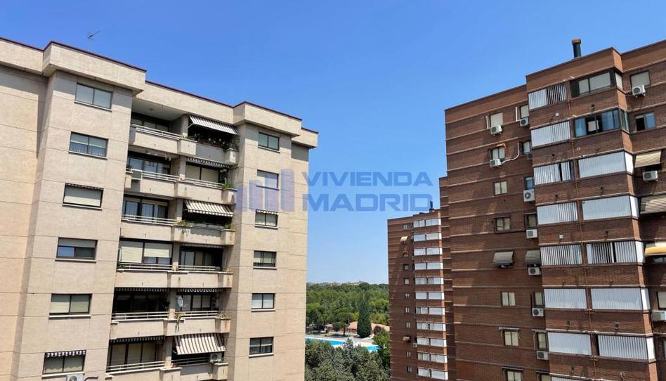 Foto 1 de Piso de alquiler en Villa Marin, La Paz, Madrid