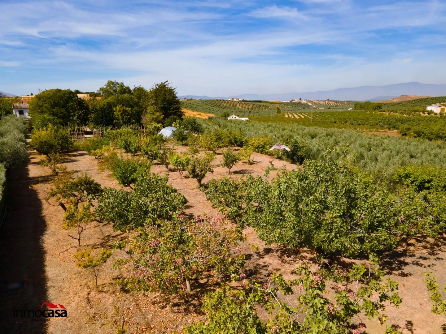 Chalet con piscina en venta en Moraleda de Zafayona, imagen 94