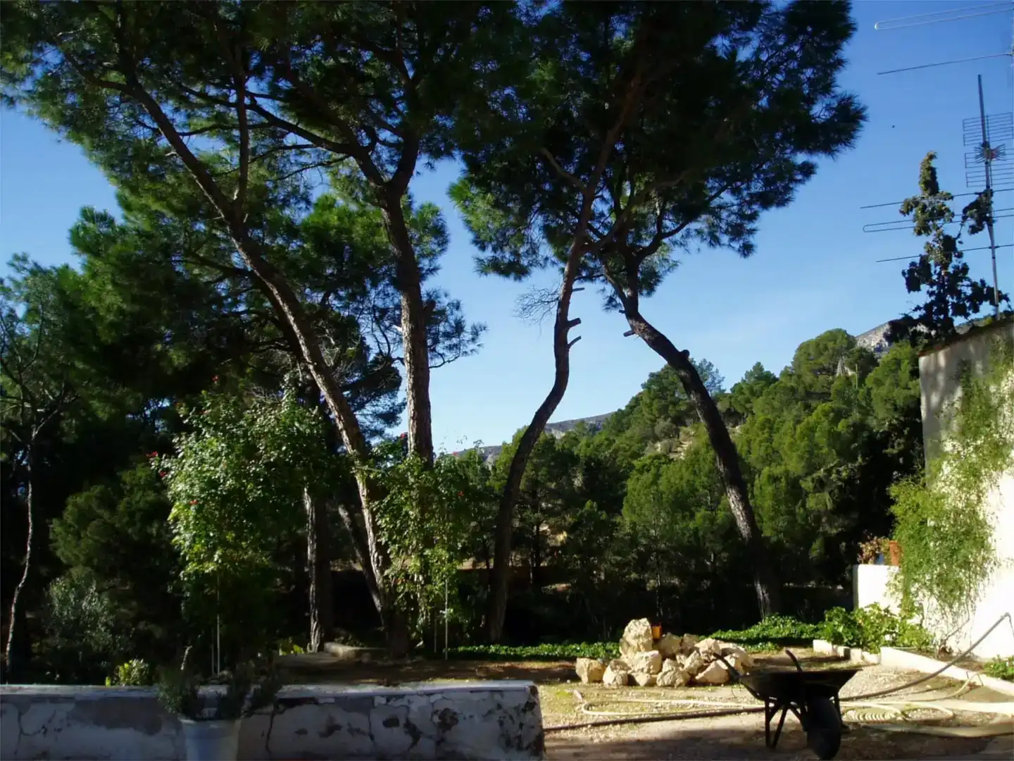 Jardí de Finca rústica en venda en Onil amb Piscina i Balcó