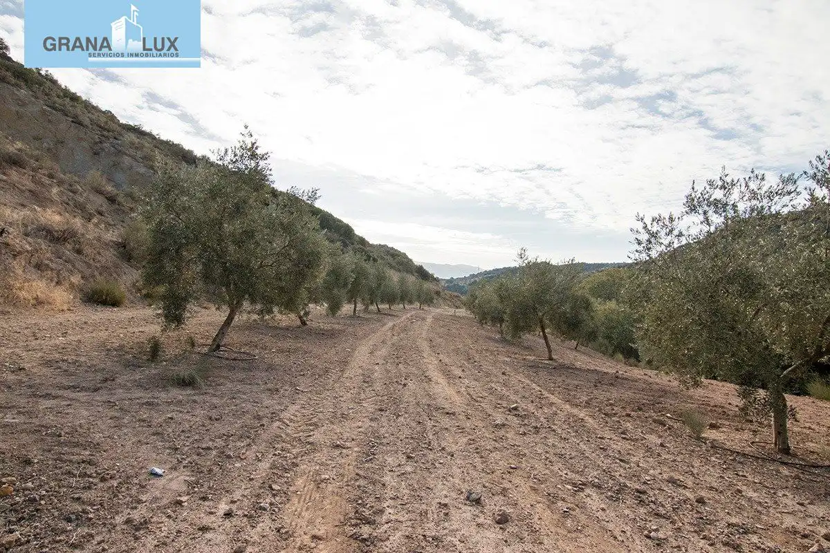 Country homes for sale in Loja