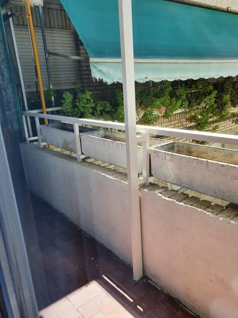 Wohnungen zur Miete in Vista Alegre