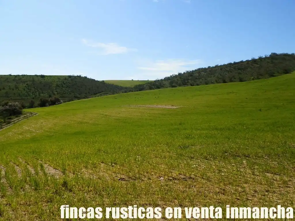 Terreno rustico in vendita a Casco Histórico, imagen 14