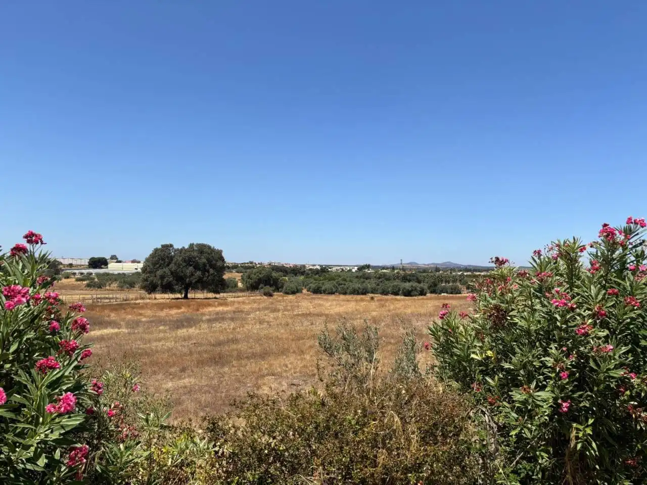 Finca rústica en venda a San Bartolomé de la Torre
