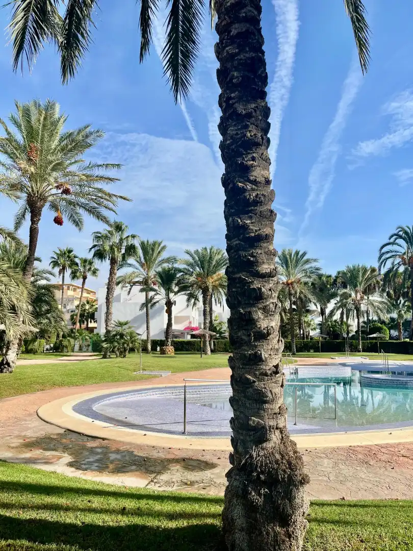 Attique avec piscine à vendre à Avenida Puerto Rey, imagen 40