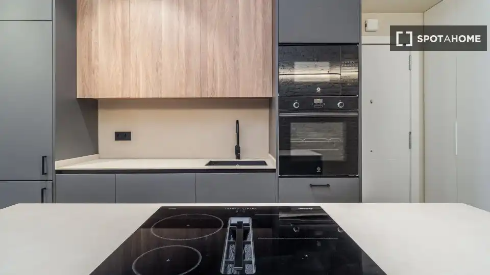 Cuina de Pis de lloguer en Barcelona amb Aire condicionat, Calefacció i Moblat