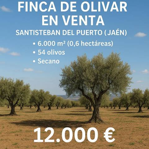 Terreno en Alquiler en  Polígono 15 Parcela 205 DEHESILLA DEL RICO. SANTI, 165 en Santisteban del Puerto
