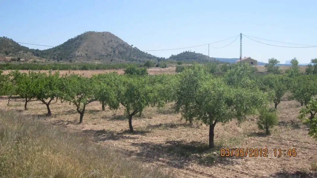 Casa amb terrassa en venda a Monóvar  / Monòver, imagen 8