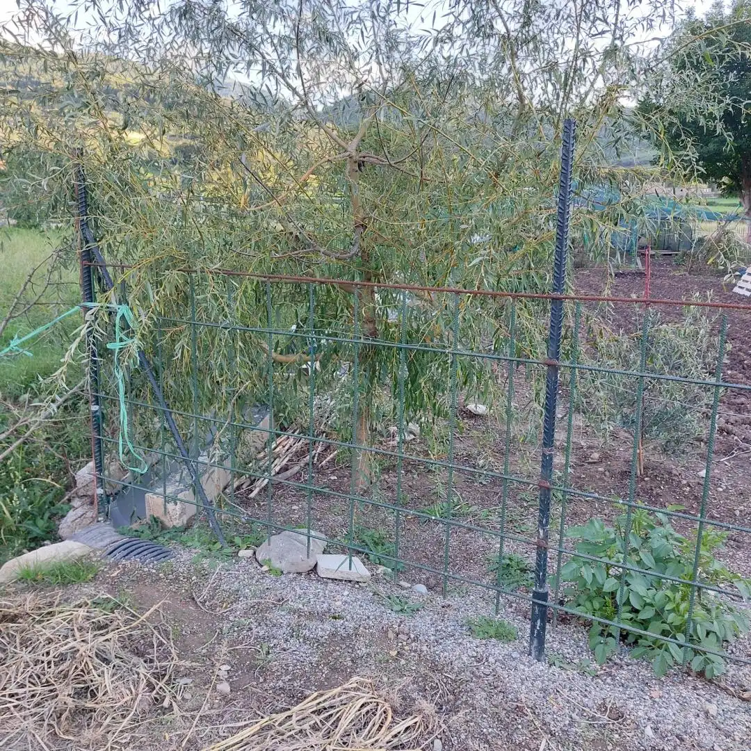 Lands and plots for sale in Alàs i Cerc, imagen 12