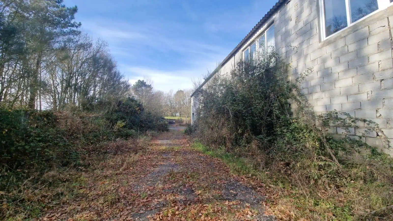 Nave industrielle à vendre à Aldea Lavandeira, imagen 13