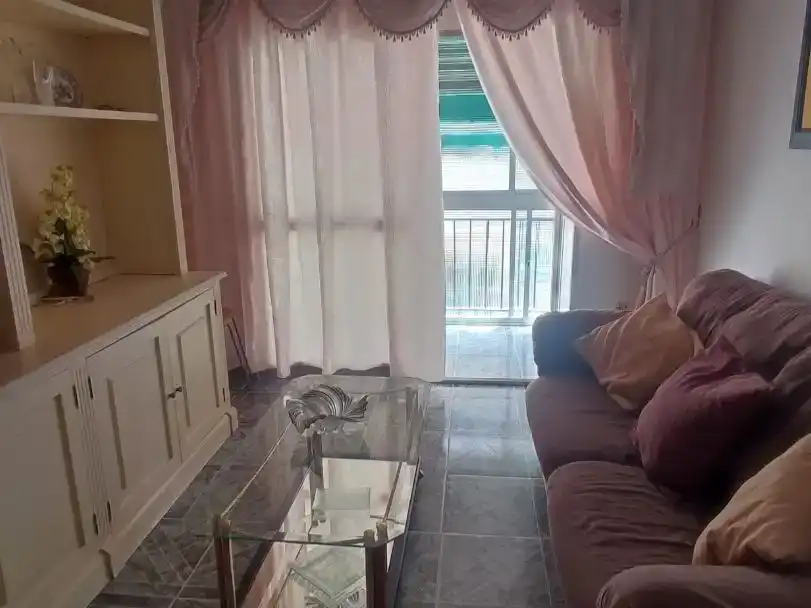 Sala d'estar de Pis de lloguer en Málaga Capital amb Balcó
