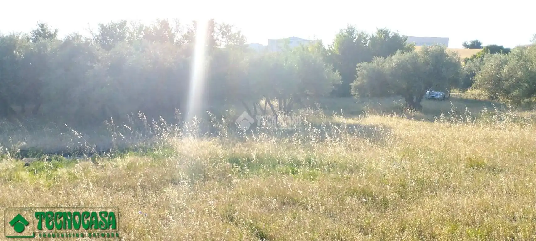 Terreni e lotti in vendita a Méntrida, imagen 6