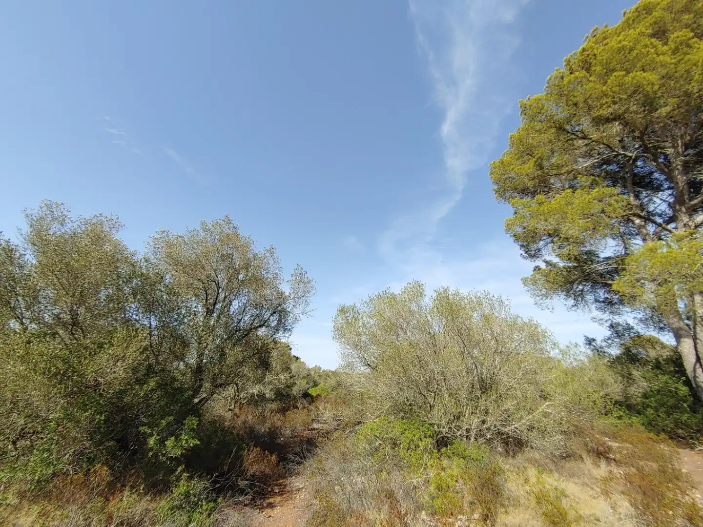 Residencial en venta en Polígono Parcela 12, Cala Pi - Vallgornera